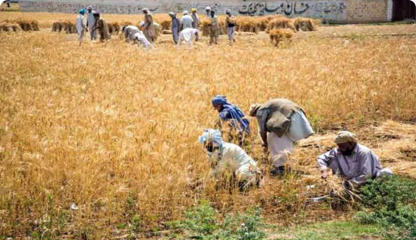 Commercially scalable is sustainable