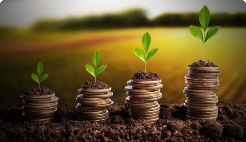 Investment to boost farming in Pakistan